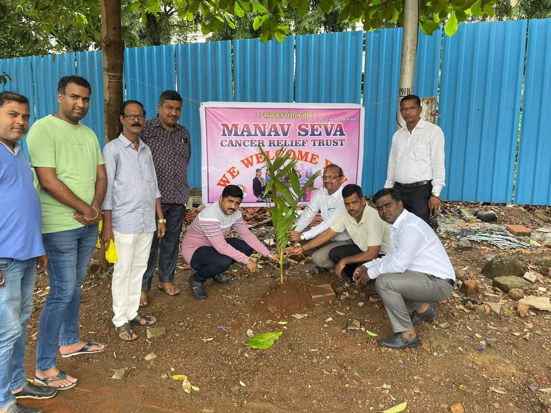 Plant a tree campaign