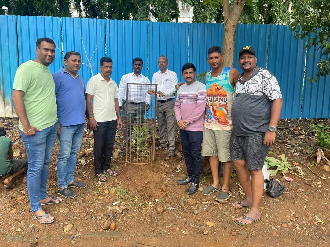 Plant a tree campaign