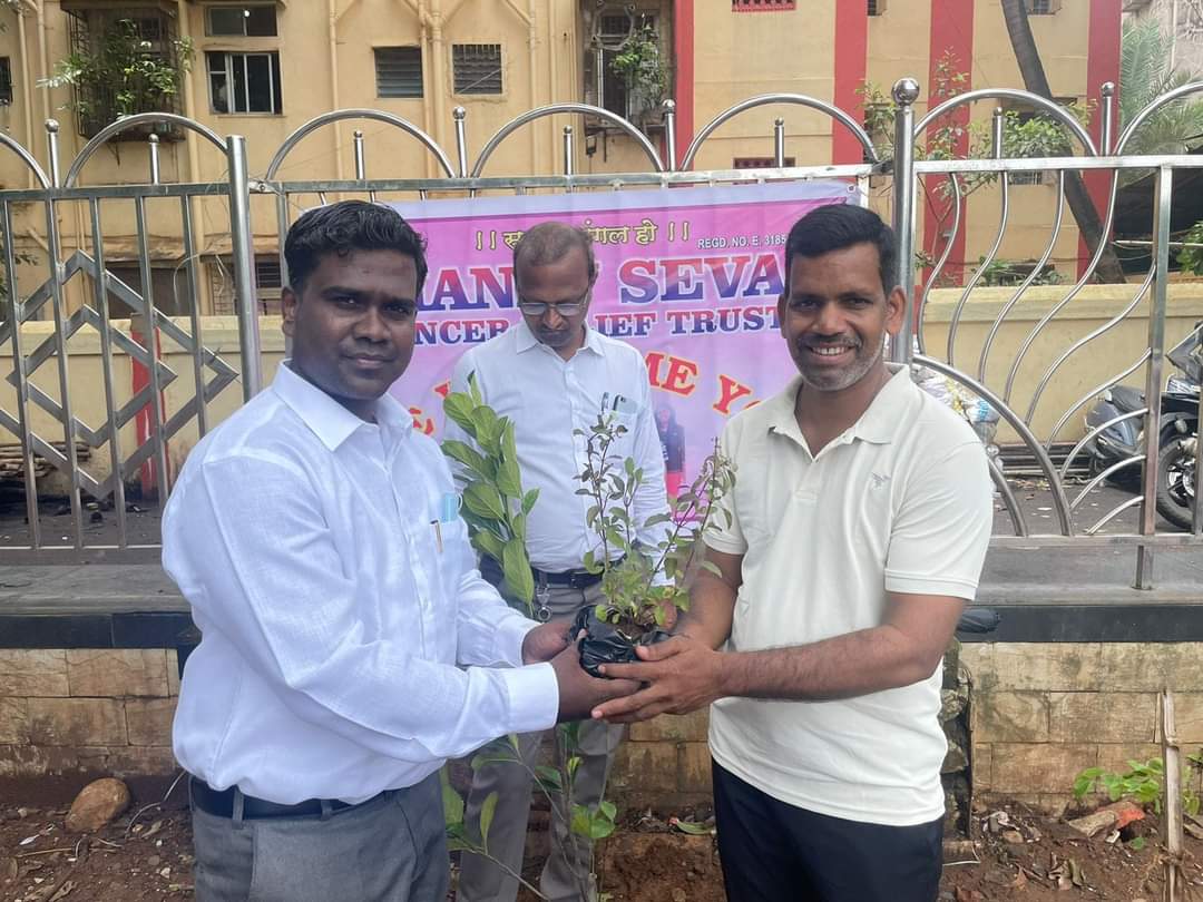 Tree Plantation