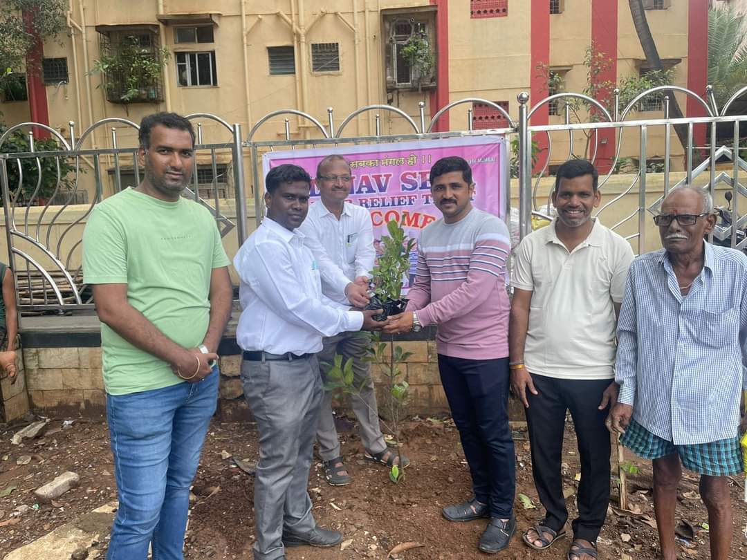 Tree Plantation