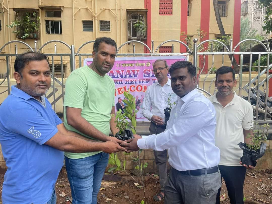 Tree Plantation